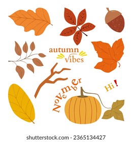 Vector set of autumn elements. Modern fall seasonal decor with dried leaf, maple leaf and pumpkin.