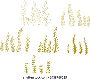 Vector set of autumn grass and flowers. Botanical collection