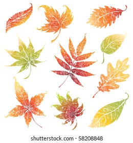 Vector set of autumn grunge leafs - design elements. Thanksgiving