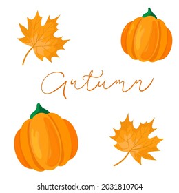Vector set of autumn icons for any design with orange pumpkins and maple leaves. 
Cozy and bright fall symbols. Cartoon yellow plants, food and forest animals, harvest festival 