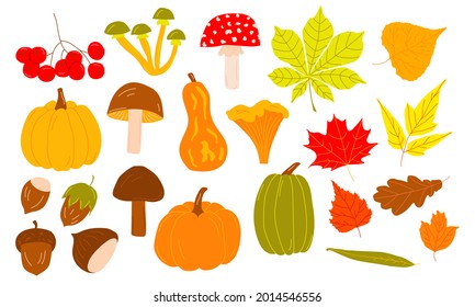 Vector set of autumn icons. Bright background for harvest time. Scrapbook collection of fall season elements.  Autumn greeting card