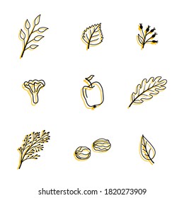 Vector set of autumn icons. Collection of doodle elements of cozy autumn season. Autumn postcard. Vector illustration