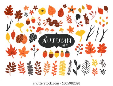Vector set of autumn icons. Falling leaves, acorns, pinecones and  old twigs. Flat cartoon colorful vector illustration.