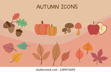 Vector set of autumn icons. Falling leaves, pumpkins acorns, pinecones, mushrooms, apples and old twigs. Autumn icons for seasonal decoration and design. Vector illustration.