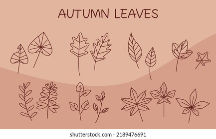 Vector set of autumn icons. Falling leaves and old twigs. Autumnal icons collection. Vector illustration.