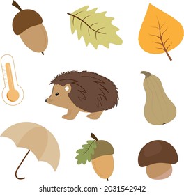 Vector set of autumn icons: hedgehog, autumn leaves, acorns, mushrooms, thermometer, umbrella, pumpkin. 
