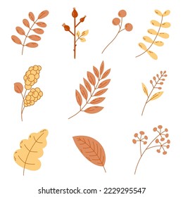 Vector set of autumn icons: leaf, branch with berries, rose hip, snowberry. Collection of fall plants