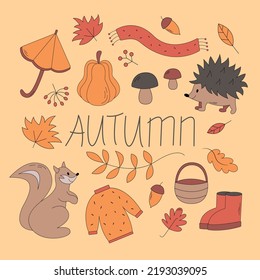 Vector set of autumn icons - sweater, falling leaves, umbrella, cute hendgehog and squirrel. Scrapbook collection of fall season elements. Bright background for harvest time. Autumn greeting card