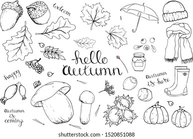 Vector set of autumn items. Cartoon monochrome isolated objects on a white background. Linear hand drawn illustration.