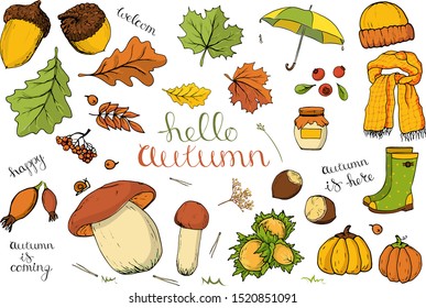 Vector set of autumn items. Cartoon colored isolated objects on a white background. Multicolored hand drawn illustration.