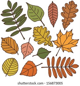vector set with autumn leaves