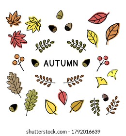 vector set of autumn leaves