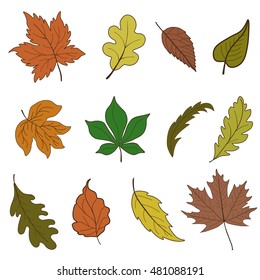 Vector set of autumn leaves