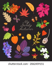 Conjunto vectorial de hojas de otoño, bayas, uva, fisalis y espina dorsal con texto escrito sobre fondo negro. ... Tarjeta de color de caída.