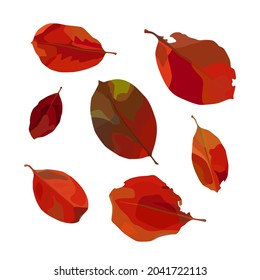 Vector set of autumn leaves. For autumn design, restaurant menu, desserts, invitation cards