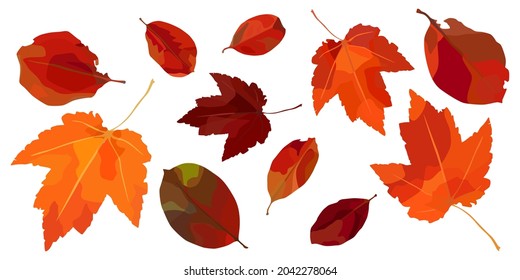Vector set of autumn leaves. For autumn design, restaurant menu, desserts, invitation cards