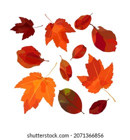 Vector set of autumn leaves. For autumn design, restaurant menu, desserts, invitation cards