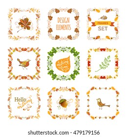 Vector set of autumn leaves design elements. Frames, corners, page decorations and dividers, swirls and flourishes isolated on white background. Oak, rowan, maple, chestnut, elm leaves and acorn.