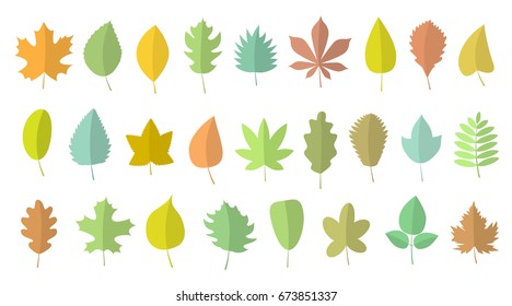Vector set. Autumn leaves of different shapes and colors.