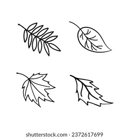 Vector Set autumn leaves doodle style black and white. Leaves of aspen, birch, maple, rowan.