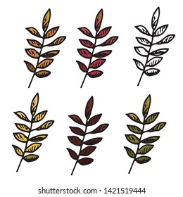 vector set of autumn leaves isolated on white background