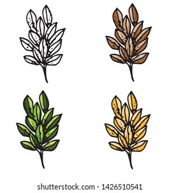 vector set of autumn leaves isolated on white background
