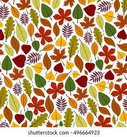 vector set with autumn leaves on a white background