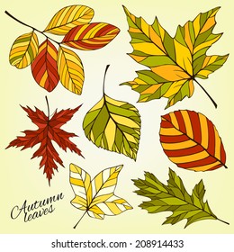Vector set of autumn leaves silhouettes. Vintage collection of decorative leaves.  Holiday design for wedding, birthday or greeting cards or  invitation.
