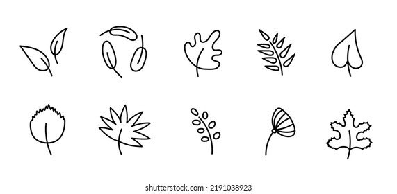 Vector set of autumn leaves. Various autumn leaves in doodle style. Rowan, maple, oak, elm, poplar, birch, American linden and willow leaves. Design elements for autumn banner, poster, cards, prints