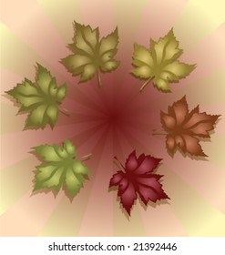 VECTOR Set of Autumn Maple Leaves.