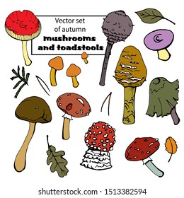 Vector set of autumn mushrooms and toadstools. Hand drawing, isolated on a white background. For design, greeting cards, seasonal holidays, greeting cards, books, botany.