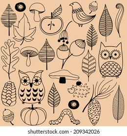 Vector set of autumn nature cute elements of hand-drawn. Autumn floral background.