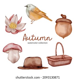 Vector set of autumn object elements in a watercolor style. Set of watercolor Autumn fruit and object design combined with stain hand-painted. botanical leaves watercolor hand painting.