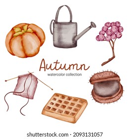 Vector set of autumn object elements in a watercolor style. Set of watercolor Autumn fruit and object design combined with stain hand-painted. botanical leaves watercolor hand painting.