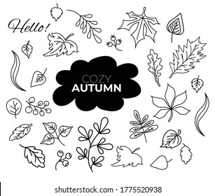 Vector set of autumn outline drawings. Doodle of various leaves and berries and text. Set of elements for the fall season. Use for autumn design and decoration. Vector illustration