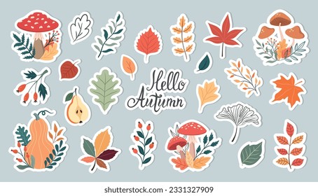 Vector set of autumn plants, mushrooms