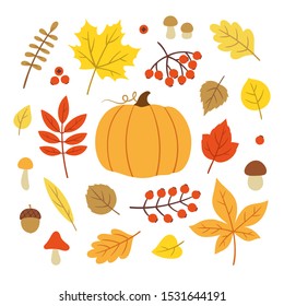 Vector Set Autumn Related Objects Colourful Stock Vector (Royalty Free ...