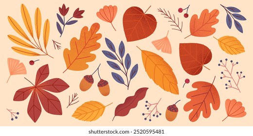 Vector set of autumn seasonal leaves,acorns,berries and plants in fall colors.Modern autumn foliage in trendy style for banners,social media marketing,patterns,branding,packaging,covers, prints.