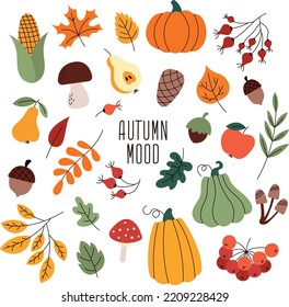 Vector set of autumn stickers. Autumn collection of hand-drawn illustrations. Mushrooms, leaves, acorns, pumpkins, corn and fruit isolated on white background. Great for seasonal holidays