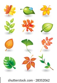 Vector set of autumn and summer leaves for design