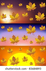 vector set of autumn sunsets with maple leafs