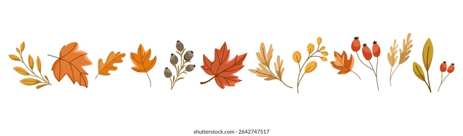 Vector set of Autumn themed elements with fall leaves, berries, acorns, branches in warm seasonal colors, perfect for DIY projects, greeting cards, invitations, packaging, scrapbooking, decorations