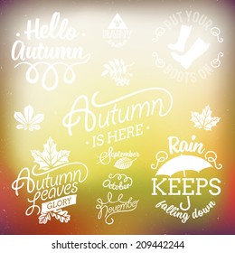 Vector set of autumn themed retro design elements | Fall vintage elements | Everything for the autumn text decoration | Bright autumn forrest abstract background