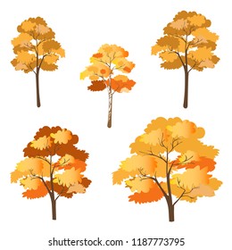 Vector set of autumn trees isolated on white background, Collection of Autumn cartoon trees in orange, yellow leaves on tone on branches, Colorful for Fall park or landscape background.