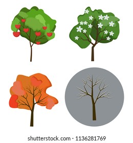 Vector set of autumn, winter, spring and summer trees on white background. Flat style.