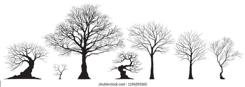 Vector set of autumn winter trees in black shadow on white background