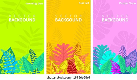 Vector set of Background with copy space of text. social media stories wallpapers with nature themes. 