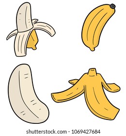 vector set of banana