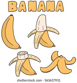 vector set of banana