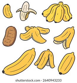 vector set of banana cartoon